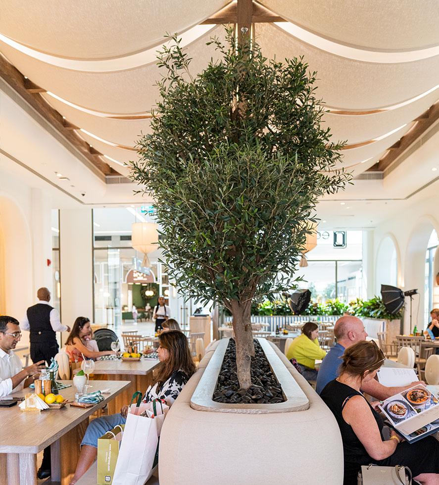 Dubai Hills Greek Restaurant